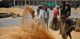 गेंहू क्रय केंद्र