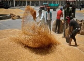गेंहू क्रय केंद्र