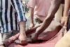 डाॅल्फिन