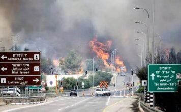 यरूशलम तक पहुंचीं इजराइल के जंगलों में लगी भीषण आग, कई झुलसे, नेतन्याहू ने की UN से मदद की अपील इजराइल में आग