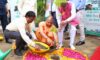 विश्व पर्यावरण दिवस