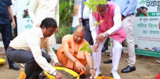 विश्व पर्यावरण दिवस