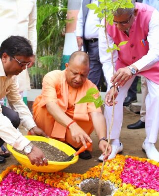 विश्व पर्यावरण दिवस