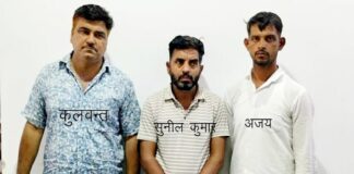यूपी एसटीएफ