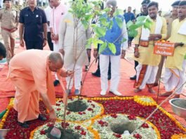 एक पेड़ मां के नाम