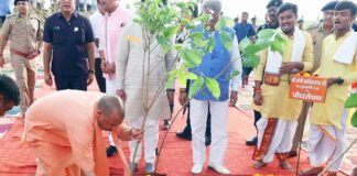 एक पेड़ मां के नाम