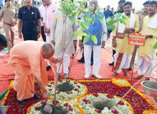 एक पेड़ मां के नाम