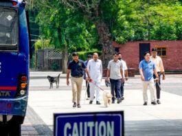 स्कूलों को लगातार मिल रही बम से उड़ाने की धमकी पर केजरीवाल ने कहा, दिल्ली में जंगलराज बनाने पर तुली भाजपा बम की धमकी