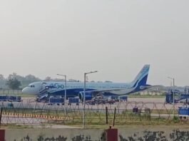 फ्लाइट में घुसा चूहा