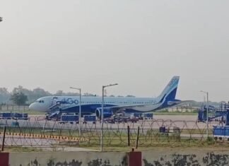 फ्लाइट में घुसा चूहा