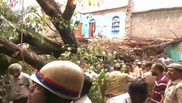 पेड़ गिरा