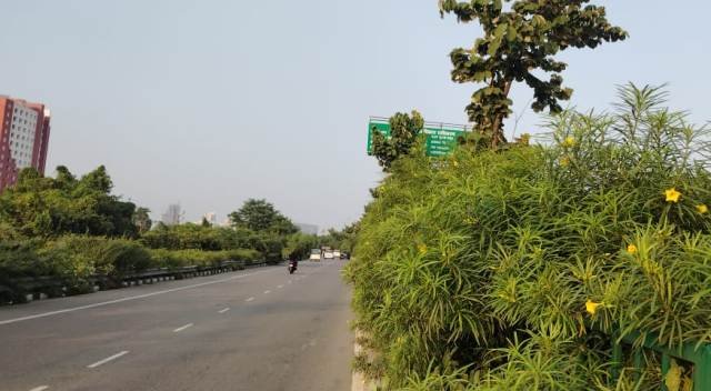शहीद पथ की हरियाली