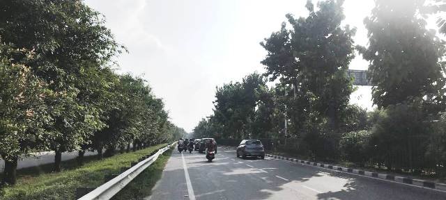 शहीद पथ की हरियाली