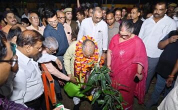 एक पेड़ मां के नाम