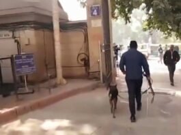 बम की धमकी