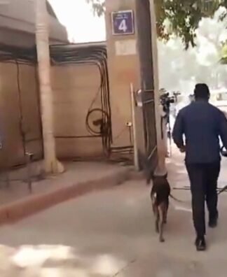 बम की धमकी