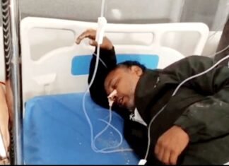 बीएलओ