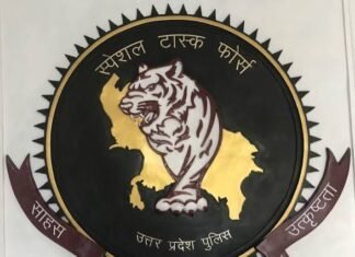 एसटीएफ