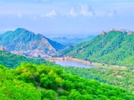 अरावली