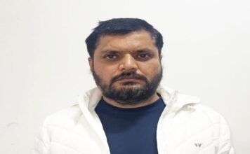 यूपी एसटीएफ