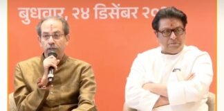 ठाकरे बंधु