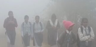 लखनऊ में शीतलहर-कोहरे के चलते बदली स्कूलों की टाइमिंग, DM ने जारी किया आदेश डीएम ऑडर