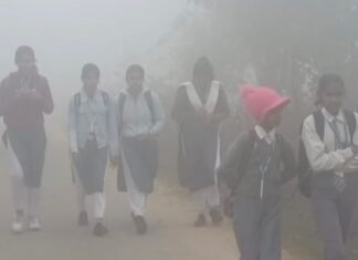 डीएम ऑडर