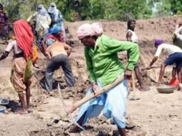 ”विकसित भारत-जी राम जी” कानून को राष्ट्रपति मुर्मू ने भी दी मंजूरी, मनरेगा की जगह लेगा मनरेगा