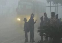 डीएम ऑडर