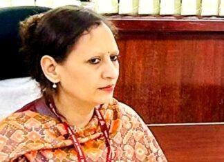 कामिनी चौहान