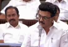 सीएस स्टालिन