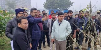 ग्रीन कॉरिडोर निर्माण