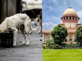 सुप्रीम कोर्ट