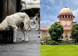 सुप्रीम कोर्ट