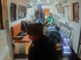 एक्सप्रेस-वे पर तेज रफ्तार कंटेनर ने बस से उतर रहे यात्रियों को कुचला, छह की मौत यमुना एक्सप्रेस-वे