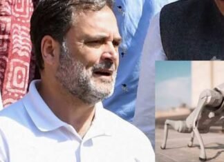 राहुल गांधी ने AI इम्पैक्ट समिट को बताया PR तमाशा, कहा भारतीय प्रतिभा का नहीं उठाया लाभ राहुल गांधी