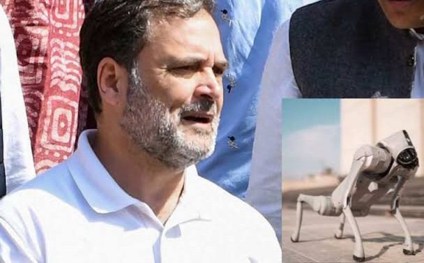 राहुल गांधी राहुल गांधी