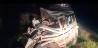 कैला देवी दर्शन