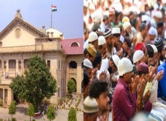 हाईकोर्ट