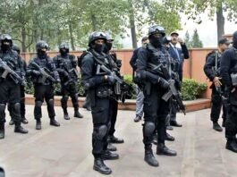 जेड श्रेणी की सुरक्षा