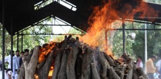 प्रतीक यादव