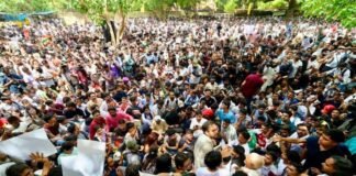 कॉकरोच जनता पार्टी