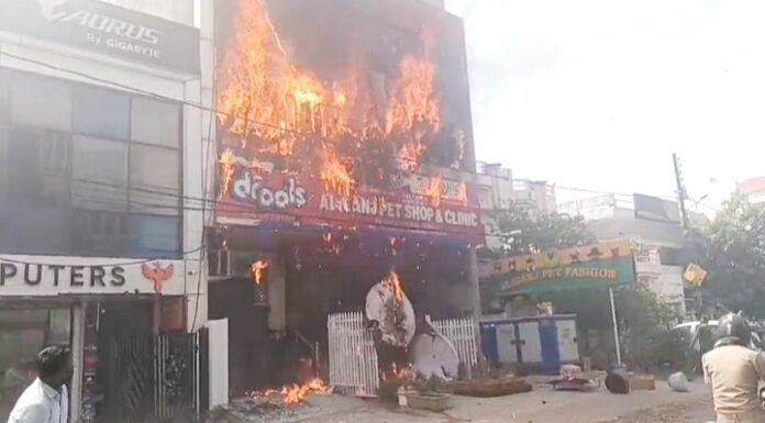अलीगंज अग्निकांड अलीगंज अग्निकांड