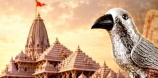 राम मंदिर चढ़ावे से ‘कागभुसुंडि’ गायब होने पर बोले अखिलेश, FIR के बगैर SIT ‘बिना तीर की कमान’ कागभुसुंडि