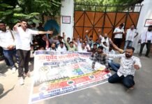 आयुर्वेदिक फार्मासिस्ट