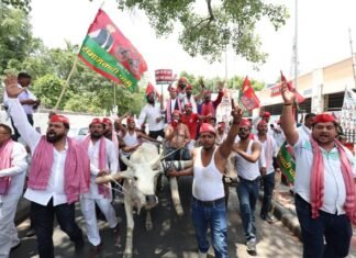 महंगाई, पेपर लीक व फर्जी एनकाउंटर के खिलाफ सपाईयों ने निकाला बैलगाड़ी मार्च, सीएम योगी की कार्यप्रणाली पर उठाया सवाल बैलगाड़ी मार्च