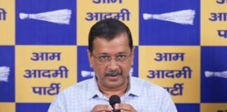 केजरीवाल ने पत्र लिख पूछा, ‘E-20 से पुरानी गाड़ियां खराब हुईं तो क्या मुआवजा देंगी कंपनियां केजरीवाल