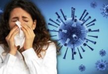 H1N1 Virus