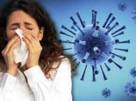 H1N1 Virus