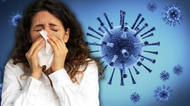 H1N1 Virus H1N1 Virus